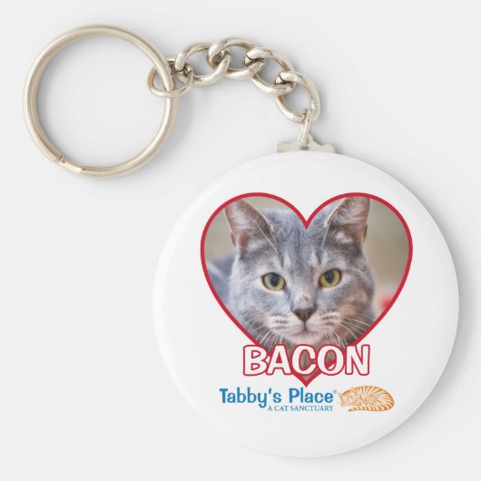 キーチェーン (正面)