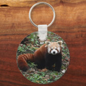 キーチェーン – 赤いパンダ2 (正面)
