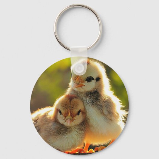 キーチユニークェンスタイリッシュおよび キーホルダー (正面)