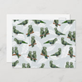 キーニュージーランド先住民のオウム模様 ポストカード (正面/裏面)