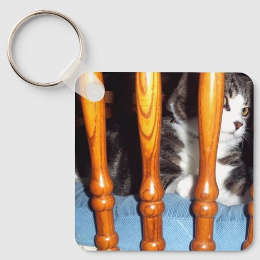 キーノビハインドバーキーチェーン キーホルダー (正面)