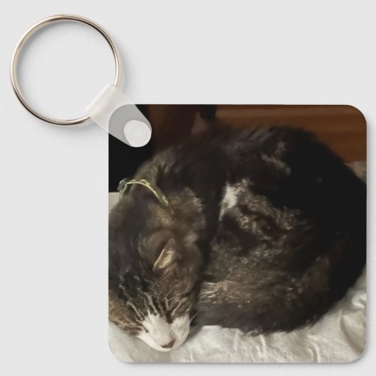 キーノ完全円キーチェーン キーホルダー (正面)