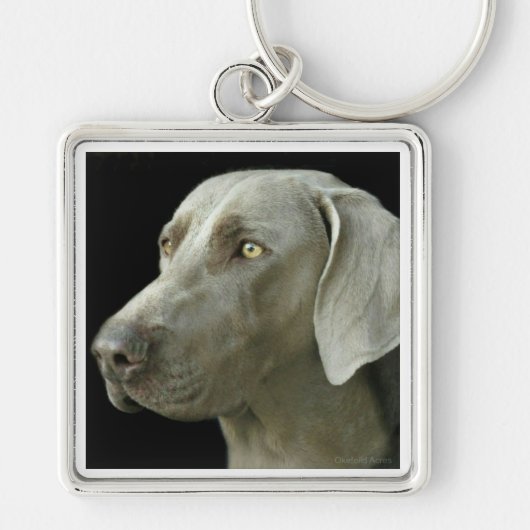 キーホルダー-ヘッド勉強Weimaraner キーホルダー (正面)
