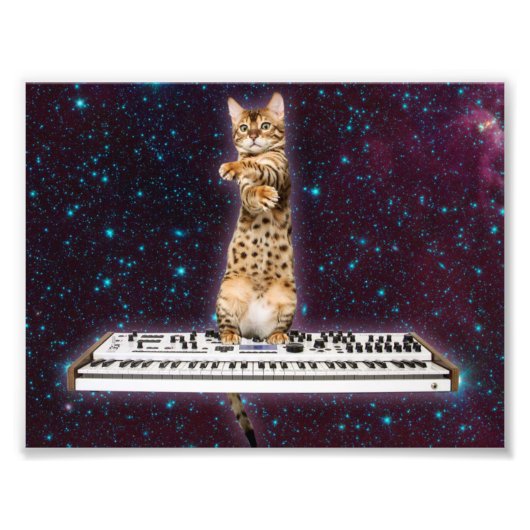 キーボードの猫が再び打つ フォトプリント (正面)