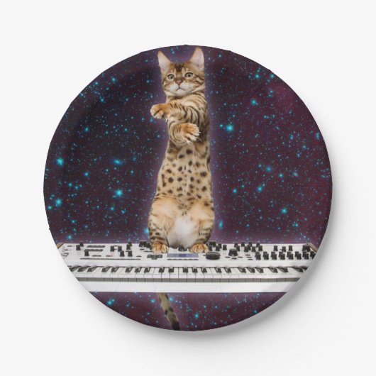 キーボードの猫が再び打つ ペーパープレート (正面)