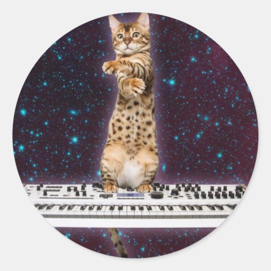キーボードの猫が再び打つ ラウンドシール (正面)