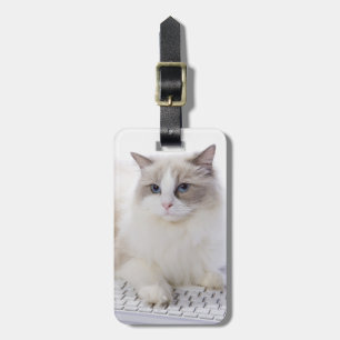 キーボードのRagdoll猫 ラゲッジタグ