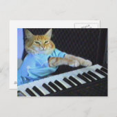 キーボード猫はがき! ポストカード (正面/裏面)