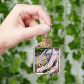 キーリング (手)