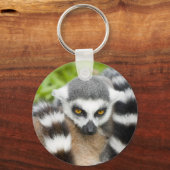 キーリング – かわいいキムールストリッピーテール (正面)