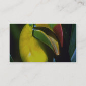 キール勘定書を出されたtoucan 名刺 (裏面)