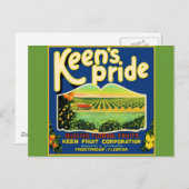 キーンのプライド耐霜フロリダラベル ポストカード (正面/裏面)