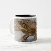 キーン・トード・リネラ・マリーナ、以前はBufo ツートーンマグカップ (正面左)