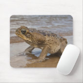 キーン・トード・リネラ・マリーナ、以前はBufo マウスパッド (マウス)