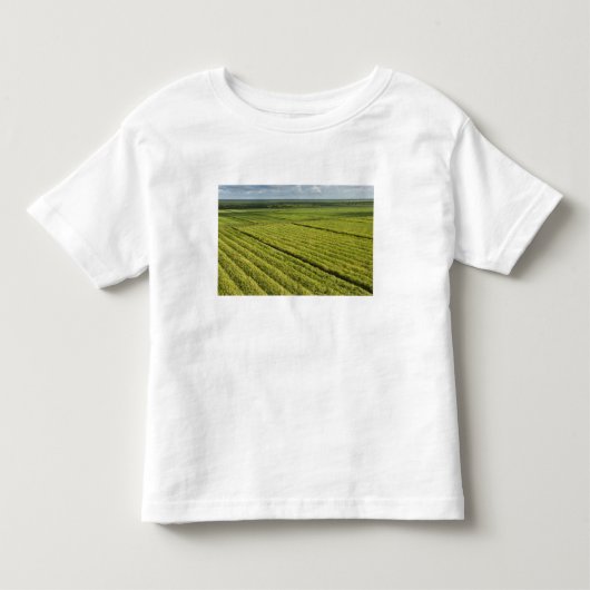 ギアナのサトウキビ農園 トドラーTシャツ (正面)