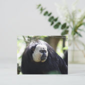 ギアナン崎 ポストカード (スタンド正面)