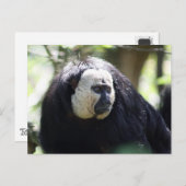 ギアナン崎 ポストカード (正面/裏面)