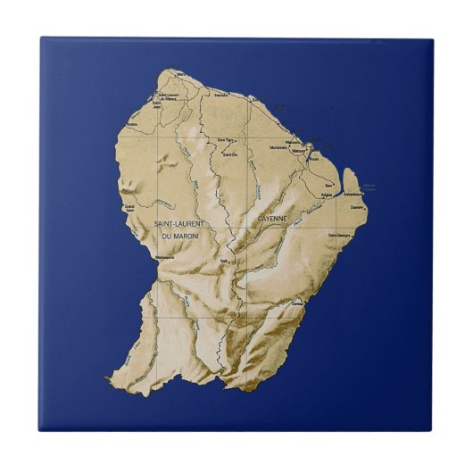 ギアナ地図タイル タイル (正面)