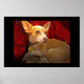 ギギ ポスター (正面)