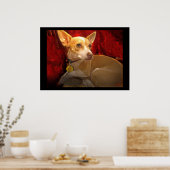 ギギ ポスター (キッチン)