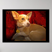 ギギ ポスター (正面)