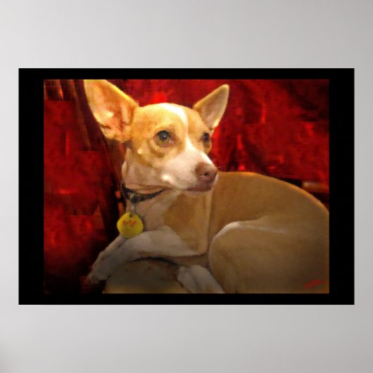 ギギ ポスター (正面)