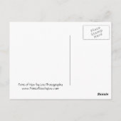 ギグハーバーワシントンライトハウス ポストカード (裏面)