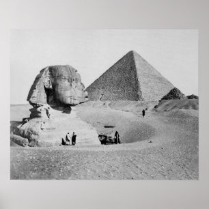 ギザの大スフィンクス、1877年。ヴィンテージ写真 ポスター