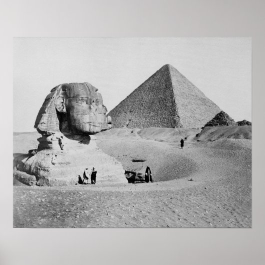 ギザの大スフィンクス、1877年。ヴィンテージ写真 ポスター (正面)