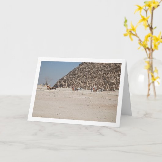 ギザの馬車、カイロ カード (黄色い花)