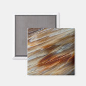 ギザギザの石化した木 マグネット (正面/裏面)