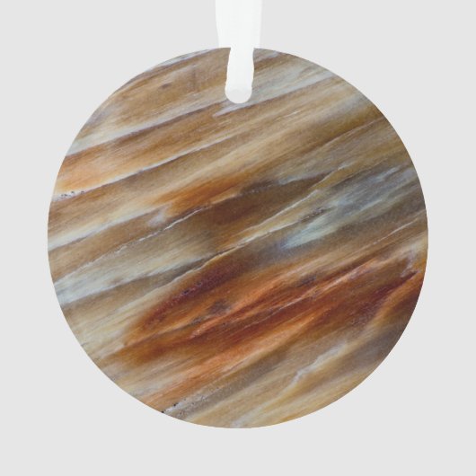 ギザギザの石化木材 オーナメント (裏面)