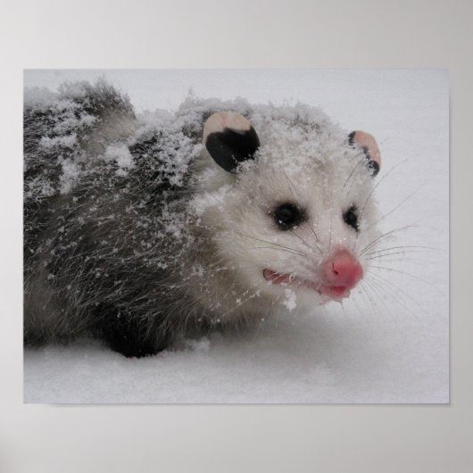 ギズモポスタープリント ポスター (正面)