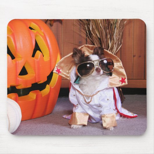 ギズモ-チワワ-トマス マウスパッド (正面)