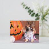 ギズモ – チワワ – トーマス ポストカード (スタンド正面)