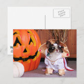 ギズモ – チワワ – トーマス ポストカード (正面/裏面)