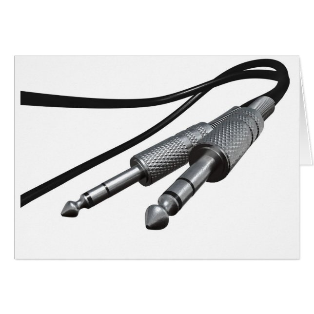 ギターアンプのプラグ (正面横)