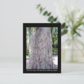 ギタープレーヤーツリー彫刻はがき – スペイン ポストカード (スタンド正面)