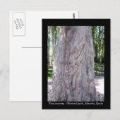 ギタープレーヤーツリー彫刻はがき – スペイン ポストカード (正面/裏面)