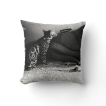 ギター枕付き猫