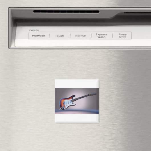 ギター マグネット (インサイチュ (食洗機))