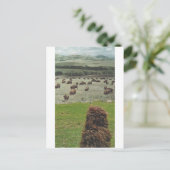 ギドおよびバッファロー- インビテーションポストカード (スタンド正面)