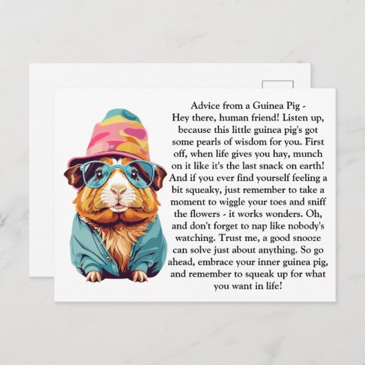 ギニアおもしろい豚からのアドバイス ポストカード (正面/裏面)