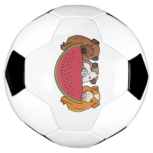 ギニアよくはしゃぐ豚とスイカイラストレーション サッカーボール (回転)