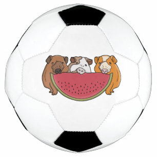 ギニアよくはしゃぐ豚とスイカイラストレーション サッカーボール