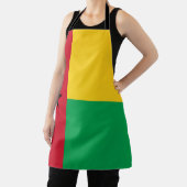 ギニアビサウ国旗 エプロン (インサイチュ)