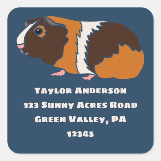 ギニアピグイラストレーション差出人住所ラベル スクエアシール (正面)