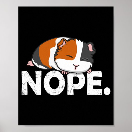 ギニアピグクラシック ポスター (正面)