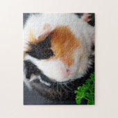 ギニアピグクローズアップジグソーパズル ジグソーパズル (縦)