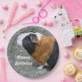 ギニアピグフォト誕生日 ペーパープレート (パーティー)